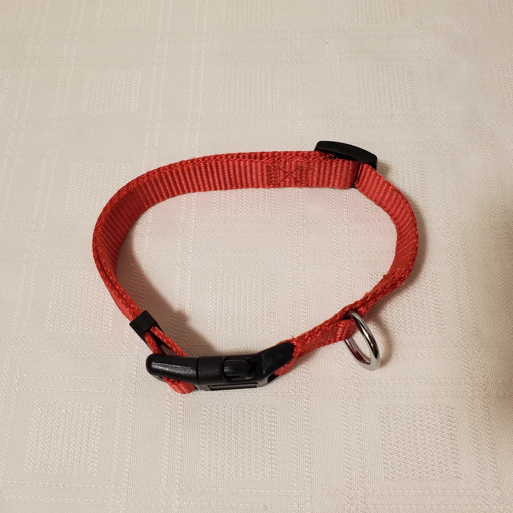 Dog Collars & Accessories Colorful Pet Bundle Red Collar Waste Bag Pet 4pc Set